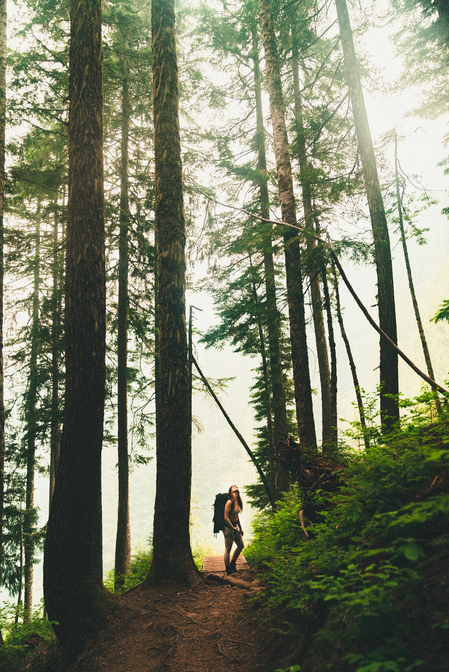 Pacific Northwest