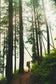 Pacific Northwest